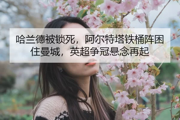 ha-lan-de-bei-suo-si-a-er-te-ta-tie-tong-zhen-kun-zhu-man-cheng-ying-chao-zheng-guan-xuan-nian-zai-qi-2-535.jpg