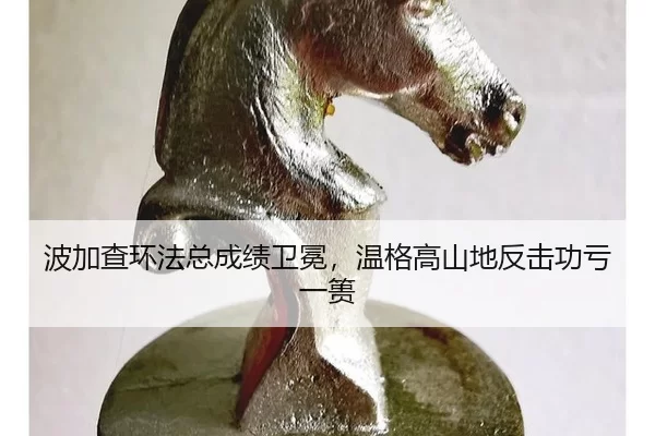 bo-jia-cha-huan-fa-zong-cheng-ji-wei-mian-wen-ge-gao-shan-di-fan-ji-gong-kui-yi-kui-2-975.jpg
